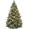 Discount National Tree Company 7.5 ft. Pre-Lit Carolina Pine Tree with 1000 Clear Lights