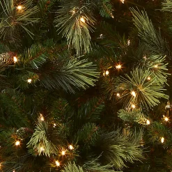 Discount National Tree Company 7.5 ft. Pre-Lit Carolina Pine Tree with 1000 Clear Lights