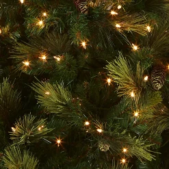 Discount National Tree Company 7.5 ft. Pre-Lit Carolina Pine Tree with 750 Clear Lights