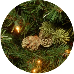 Discount National Tree Company 7.5 ft. Pre-Lit Carolina Pine Tree with 750 Clear Lights
