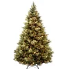 Sale National Tree Company 6.5 ft. Pre-Lit Carolina Pine Tree with Clear Lights