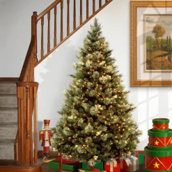 Sale National Tree Company 6.5 ft. Pre-Lit Carolina Pine Tree with Clear Lights