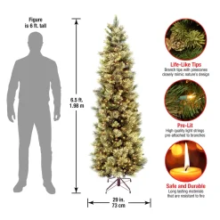 Hot National Tree Company 6.5 ft. Pre-Lit Carolina Pine Slim Tree with Clear Lights