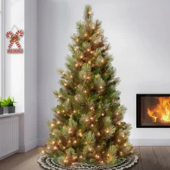 Sale National Tree Company 6 ft. Pre-Lit Charleston Pine Slim Tree with Clear Lights