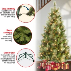 Sale National Tree Company 6 ft. Pre-Lit Charleston Pine Slim Tree with Clear Lights