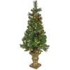 Discount National Tree Company 4 ft. Pre-Lit Crestwood Spruce Tree with Warm White LED Lights