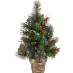 Outlet National Tree Company 2 ft. Pre-Lit Crestwood Spruce Tree with Multicolor LED Lights