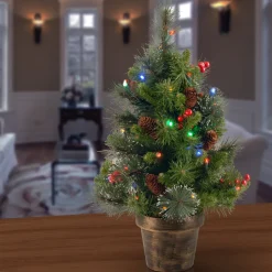 Outlet National Tree Company 2 ft. Pre-Lit Crestwood Spruce Tree with Multicolor LED Lights