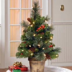 Hot National Tree Company 2 ft. Pre-Lit Crestwood Spruce Tree with Clear Lights