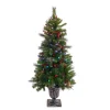 Clearance National Tree Company 4 ft. Pre-Lit Crestwood Spruce Tree with Twinkly LED Lights