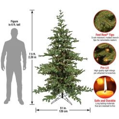 Clearance National Tree Company 7.5 ft. Pre-Lit Decorator Tree