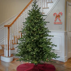 Hot National Tree Company 10 ft. Pre-Lit Douglas Fir Hinged Tree with Warm White LED Lights