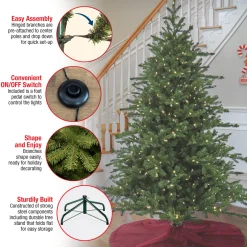 Hot National Tree Company 10 ft. Pre-Lit Douglas Fir Hinged Tree with Warm White LED Lights
