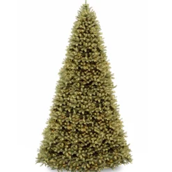 Sale National Tree Company 12 ft. Pre-Lit Downswept Douglas Fir Tree with Clear Lights