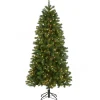 Best National Tree Company 6.5 ft. Pre-Lit Downswept Douglas Fir Slim Tree with Clear Lights