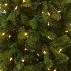 New National Tree Company 6.5 ft. Pre-Lit Downswept Douglas Fir Pencil Slim Tree with Dual Color LED Lights