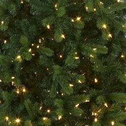 Sale National Tree Company 12 ft. Pre-Lit Downswept Douglas Fir Pencil Slim Tree with Dual Color LED Lights