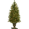 New National Tree Company 4 ft. Pre-Lit Dunhill Fir Entrance Tree with Clear Lights