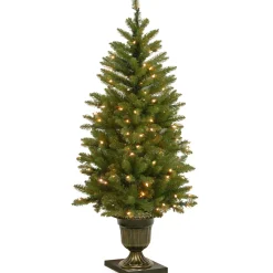 New National Tree Company 4 ft. Pre-Lit Dunhill Fir Entrance Tree with Clear Lights