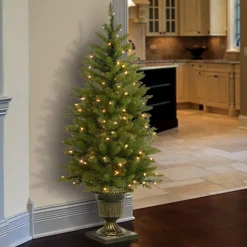 New National Tree Company 4 ft. Pre-Lit Dunhill Fir Entrance Tree with Clear Lights