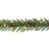 Discount National Tree Company 9 ft. Pre-Lit Dunhill Fir Glittery Gold Garland with LED Lights
