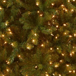 Clearance National Tree Company 6.5 ft. Pre-Lit Dunhill Fir Slim Tree with Clear Lights