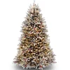 Hot National Tree Company 6.5 ft. Pre-Lit Dunhill Fir Snowy Tree with Clear Lights