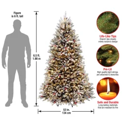 Hot National Tree Company 6.5 ft. Pre-Lit Dunhill Fir Snowy Tree with Clear Lights