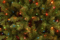 Clearance National Tree Company 7.5 ft. Pre-Lit Dunhill Fir Tree with Multicolor Lights