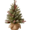 National Tree Company 2 ft. Pre-Lit Dunhill Fir Tree with LED Lights