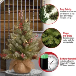 National Tree Company 2 ft. Pre-Lit Dunhill Fir Tree with LED Lights