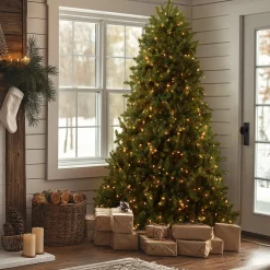 Sale National Tree Company 7 ft. Pre-Lit Dunhill Fir Tree with Clear Lights