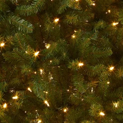 Discount National Tree Company 7.5 ft. Pre-Lit Dunhill Fir Tree with Dual Color LED Lights