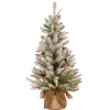 Sale National Tree Company 3 ft. Pre-Lit Dunhill Fir Tree with Warm White LED Lights