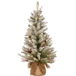 Sale National Tree Company 3 ft. Pre-Lit Dunhill Fir Tree with Warm White LED Lights