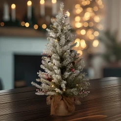 Sale National Tree Company 3 ft. Pre-Lit Dunhill Fir Tree with Warm White LED Lights