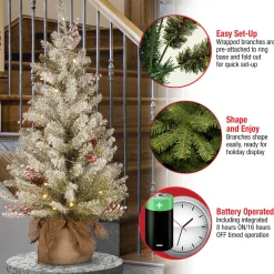 Sale National Tree Company 3 ft. Pre-Lit Dunhill Fir Tree with Warm White LED Lights
