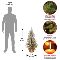Sale National Tree Company 3 ft. Pre-Lit Dunhill Fir Tree with Warm White LED Lights