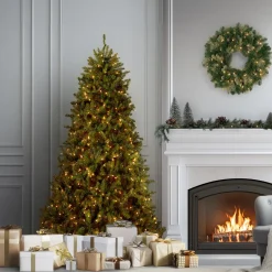 Clearance National Tree Company 6 ft. Pre-Lit Dunhill Fir Tree with Clear Lights