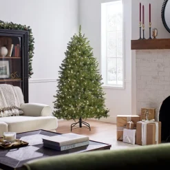 Clearance National Tree Company 6 ft. Pre-Lit Dunhill Fir Tree with Clear Lights