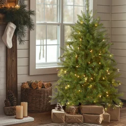 Sale National Tree Company 4 ft. Pre-Lit Dunhill Fir Tree with Clear Lights