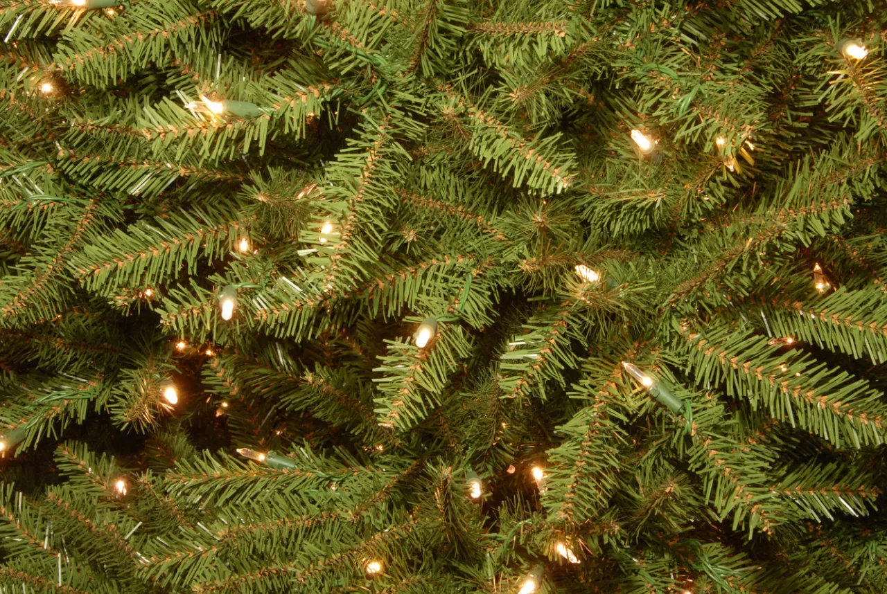 Clearance National Tree Company 12 ft. Pre-Lit Dunhill Fir Tree with PowerConnect Dual Color LED Lights