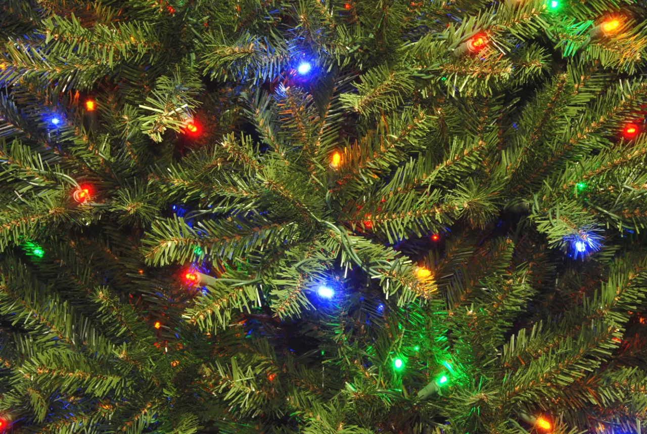 Clearance National Tree Company 12 ft. Pre-Lit Dunhill Fir Tree with PowerConnect Dual Color LED Lights