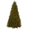 New National Tree Company 10 ft. Pre-Lit Dunhill Fir Tree with Clear Lights