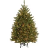 Best National Tree Company 4.5 ft. Pre-Lit Dunhill Fir Tree with Clear Lights