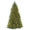 New National Tree Company 12 ft. Pre-Lit Dunhill Fir Tree with Clear Lights