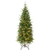 Clearance National Tree Company 4.5 ft. Pre-Lit Duxbury Light Green Slim Tree with Warm White LED Lights