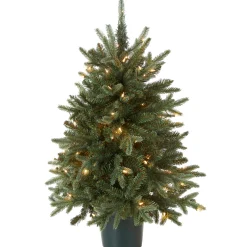 Best National Tree Company 3 ft. Pre-Lit Everyday Collection Tree with Clear Lights