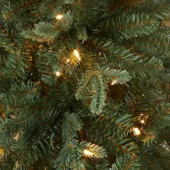 Best National Tree Company 3 ft. Pre-Lit Everyday Collection Tree with Clear Lights