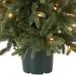 Best National Tree Company 3 ft. Pre-Lit Everyday Collection Tree with Clear Lights